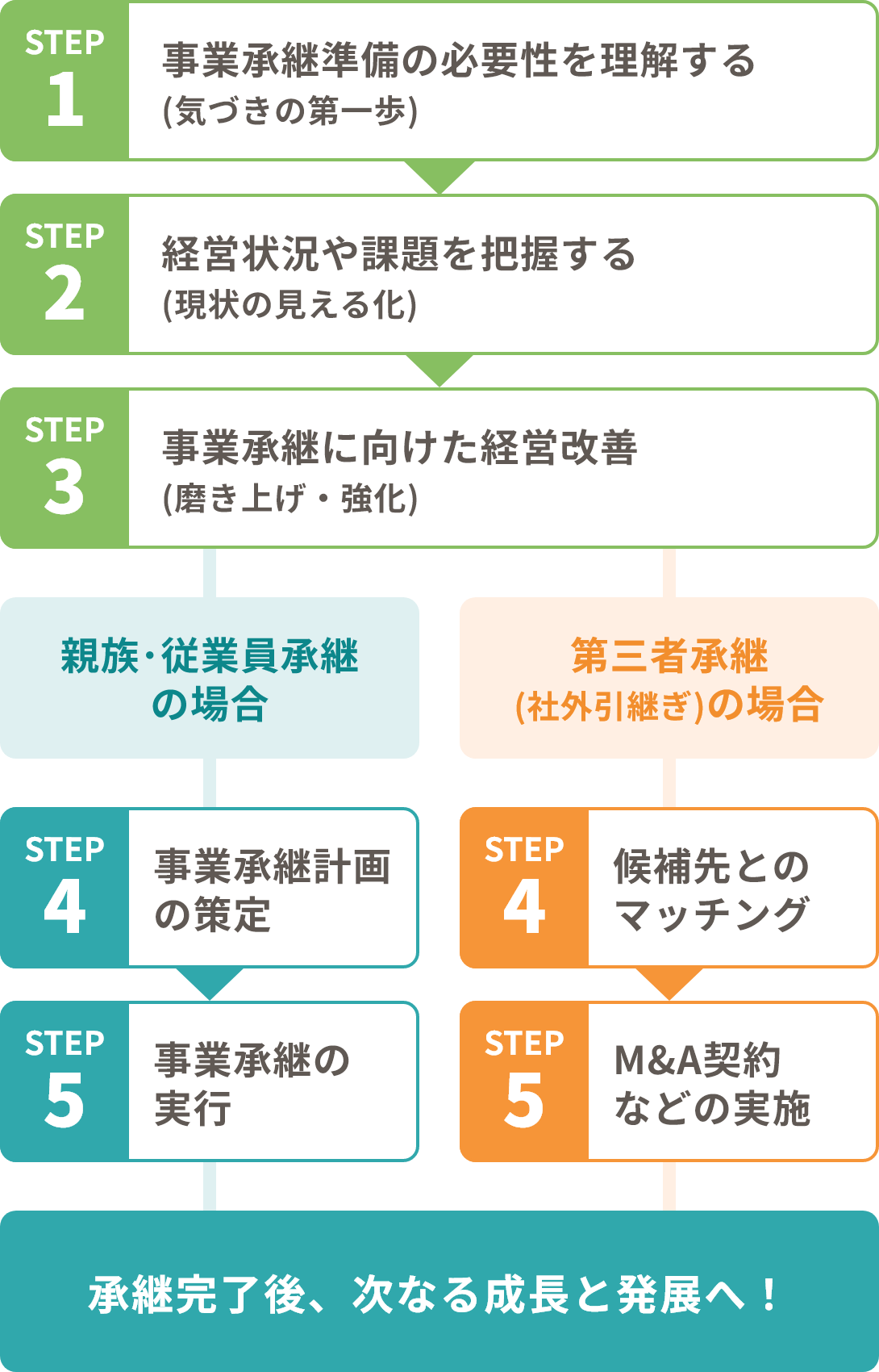  事業承継の準備から実行までのステップ。親族・従業員承継と第三者承継の流れを図示